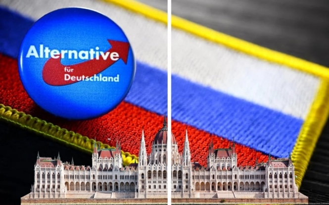 Німецьку ультраправу партію AfD звинувачують в роботі на кремль. Що шукає AfD у державних даних 